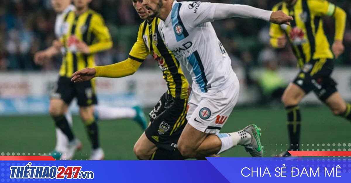 vaobong – Nhận định Melbourne City vs Wellington Phoenix: Tận dụng ưu thế sân bãi, 13h00 ngày 03/01/2025