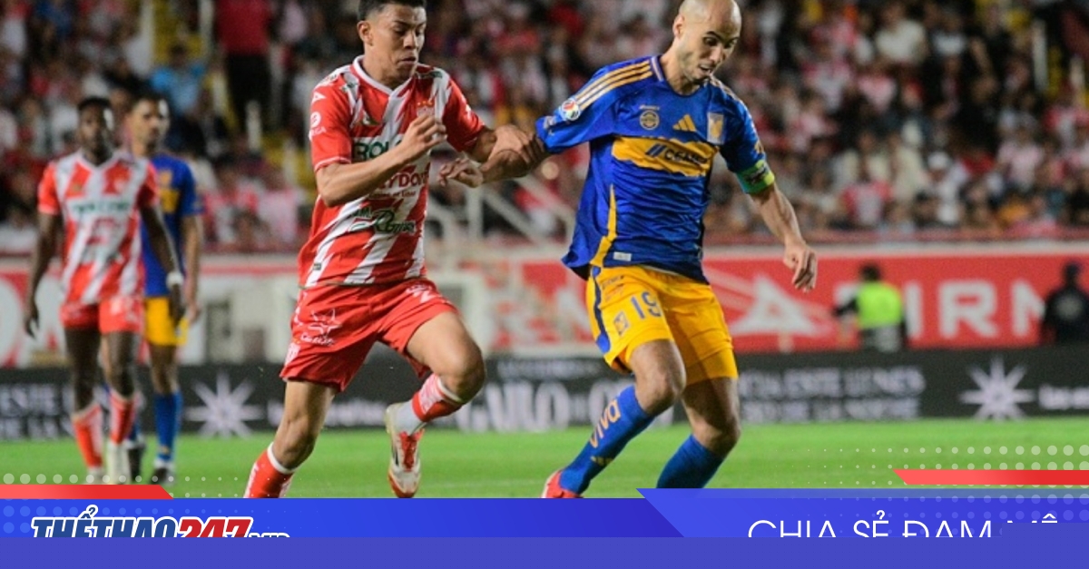 vaobong – 10:10 12/05 Nhận định Tigres vs Necaxa: Chủ nhà quyết tâm thắng