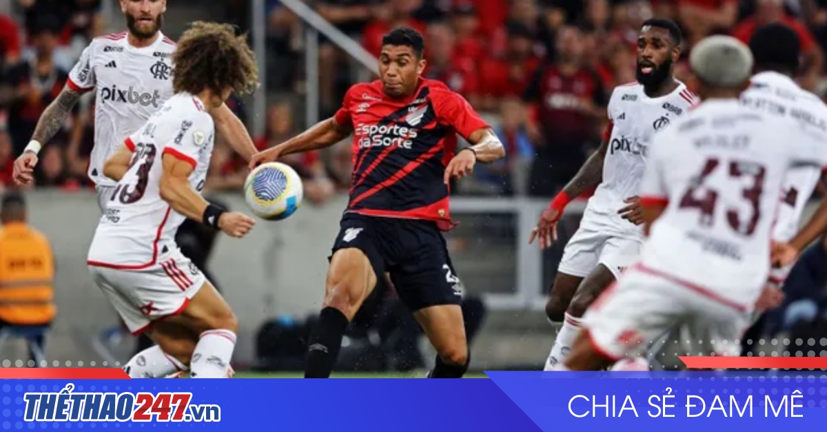 vaobong – Nhận định Flamengo vs Bahia: Kèn cựa từng điểm số
