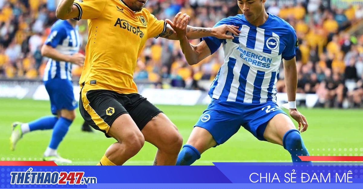 vaobong – 21:00 10/05 Nhận định Wolves vs Brighton: Cân tài cân sức