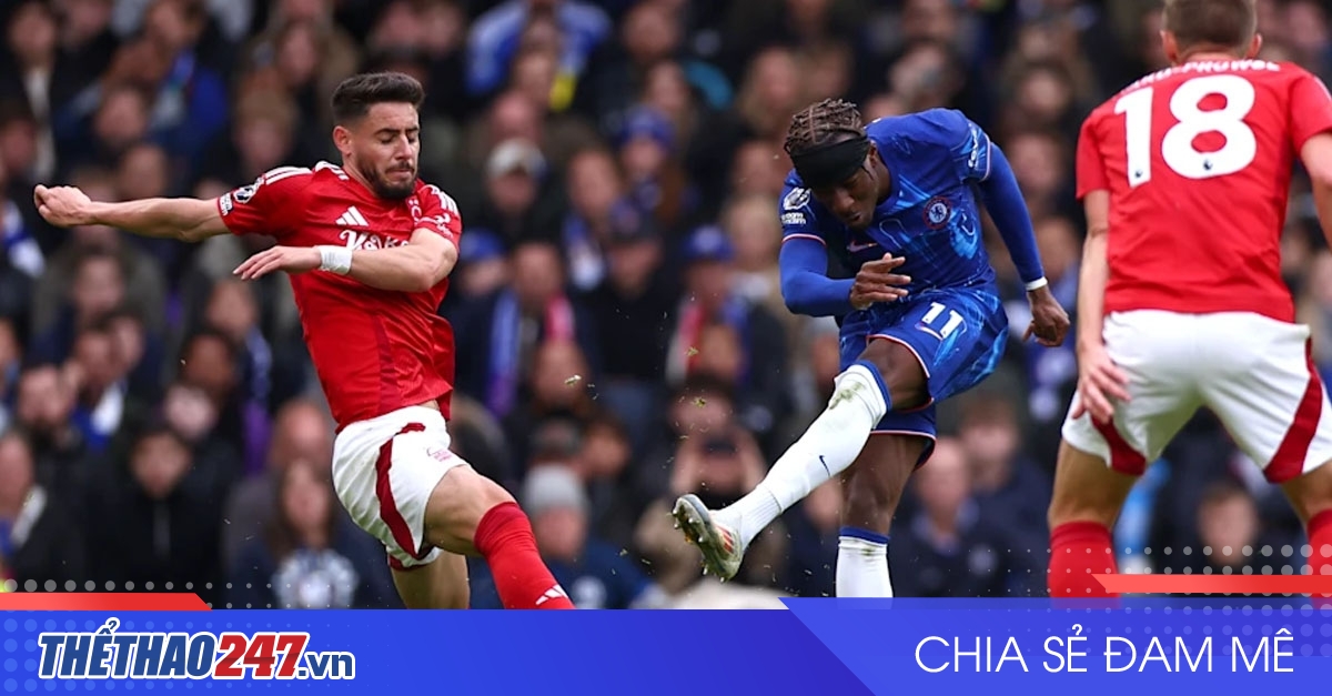vaobong – Nhận định Nottingham vs Chelsea: Chiến thắng quan trọng
