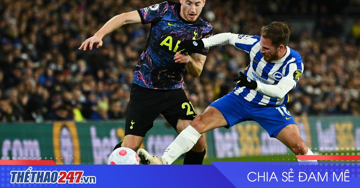 vaobong – Nhận định Tottenham vs Brighton: Thị uy sức mạnh