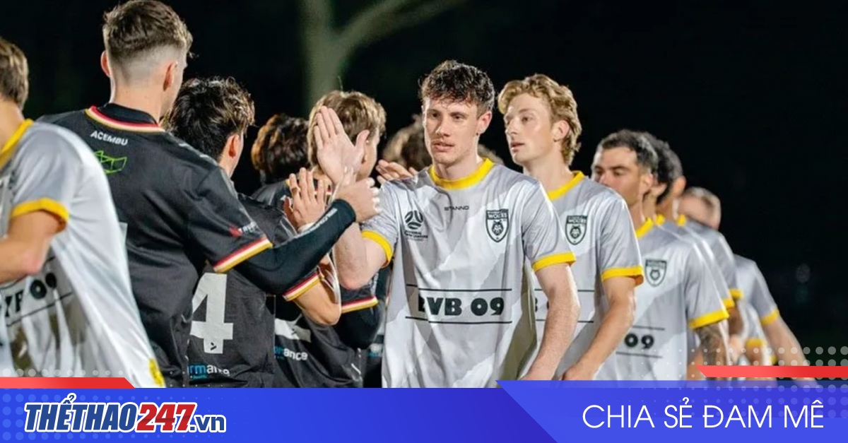 vaobong – Nhận định Gold Coast Knights vs Wynnum Wolves: Lấy lại mạch thắng