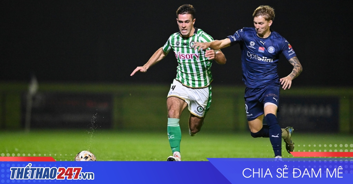 vaobong – Nhận định Melbourne Knights vs Green Gully: Chủ nhà tay trắng