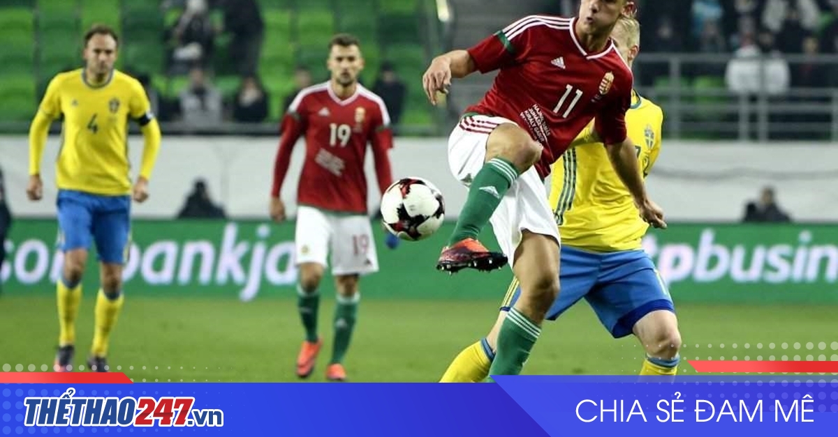 vaobong – Nhận định Hungary vs Thụy Điển: Khó cản được khách
