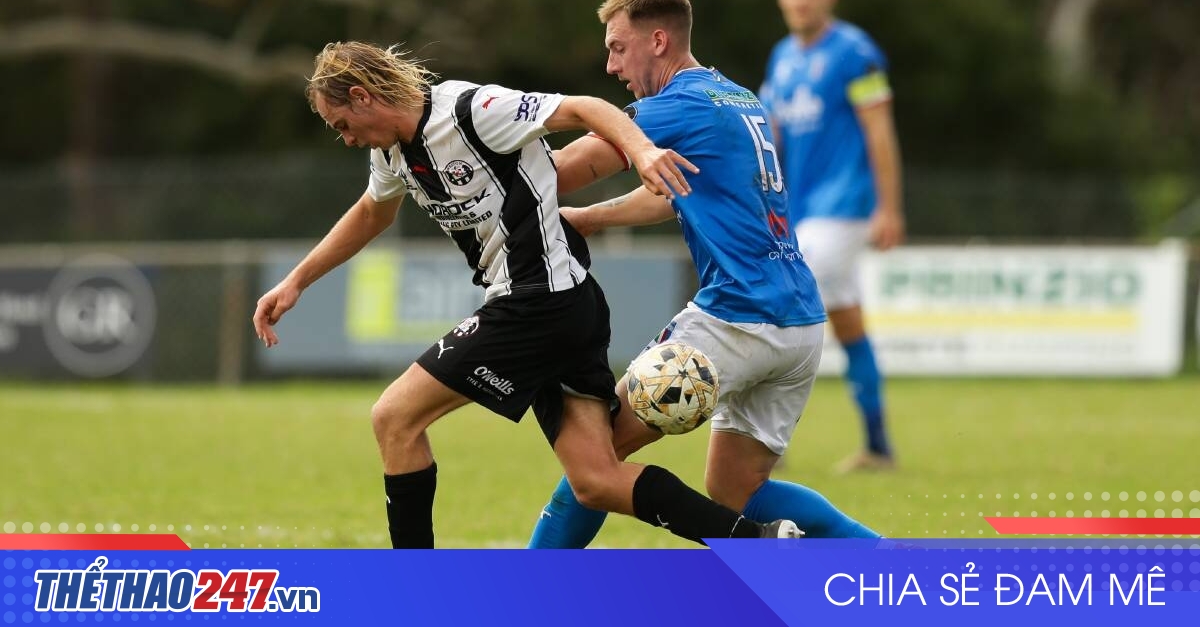 vaobong – Nhận định Weston Bears vs New Lambton: Cách biệt 4 bàn