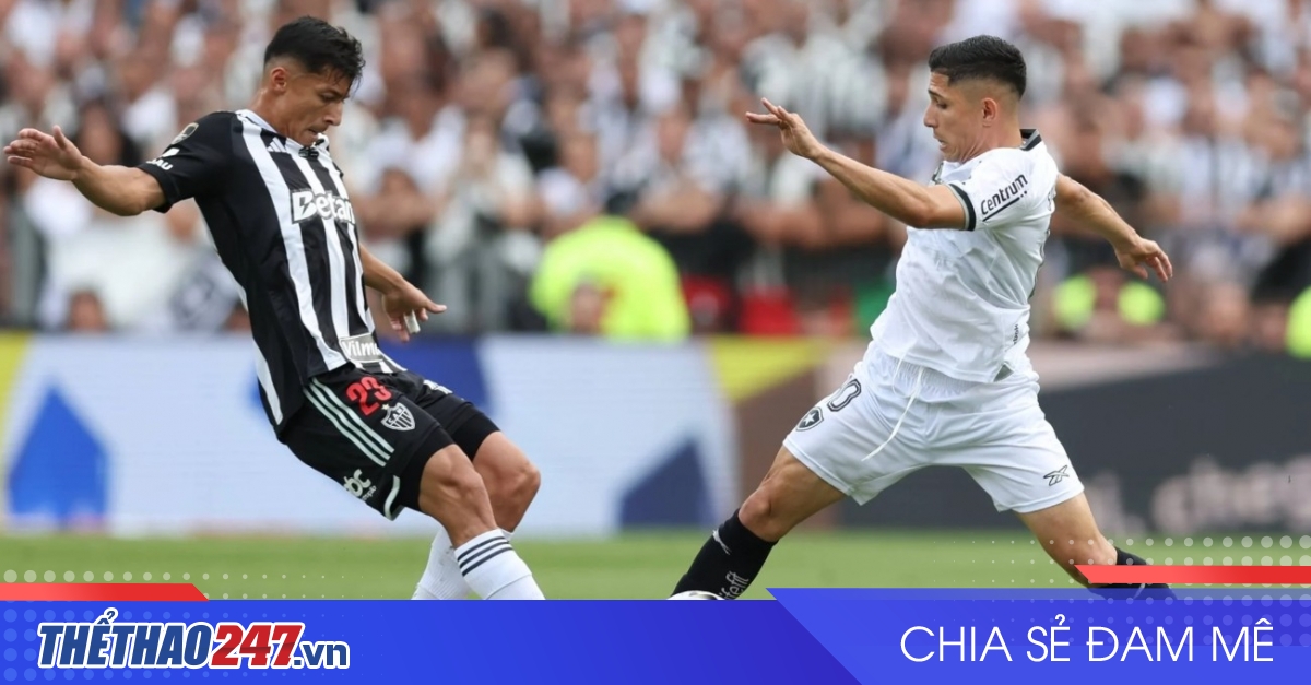 vaobong – Nhận định Botafogo vs Ceara: Ngang tài cân sức