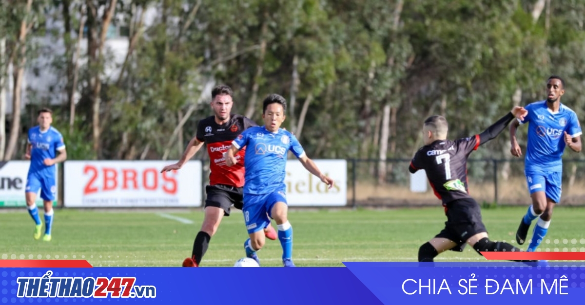 vaobong – Nhận định Avondale vs Dandenong Thunder: Cạnh tranh thứ hạng