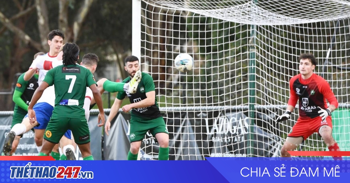 vaobong – Nhận định George Cross vs Bentleigh Greens: Chiếm lấy ngôi đầu