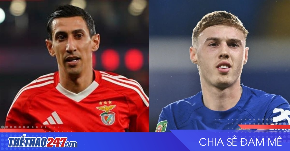 vaobong – Nhận định Benfica vs Chelsea: Có trên 2,5 bàn?