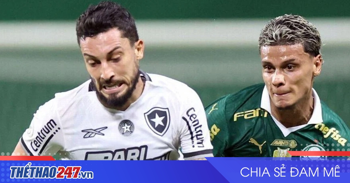 vaobong – Nhận định Palmeiras vs Botafogo: Ngang tài cân sức