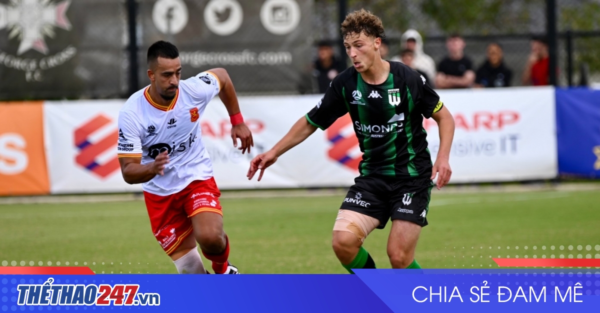 vaobong – Nhận định Preston Lions vs Port Melbourne Sharks: Sẽ có bất ngờ