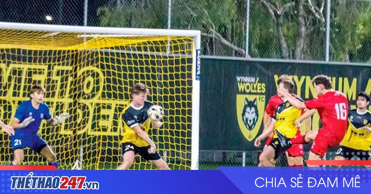 vaobong – Nhận định Brisbane City vs Wynnum Wolves: Sẽ có nhiều bàn