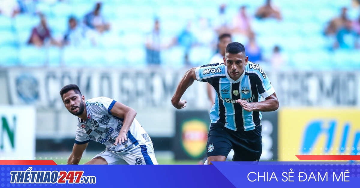 vaobong – Nhận định Gremio vs Sao Jose: Chung kết chênh lệch