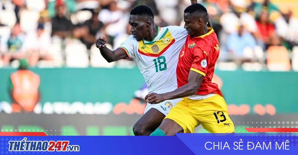 vaobong – Nhận định Senegal vs Guinea: Tái đấu căng thẳng